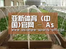 环境展示五