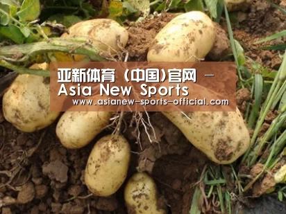 种植基地六