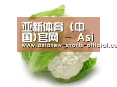 产品名称九