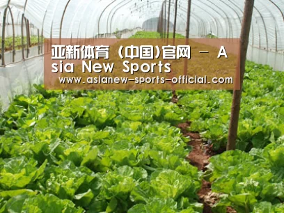 种植基地五