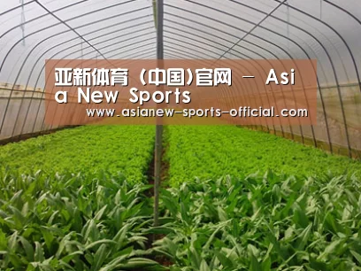 种植基地四