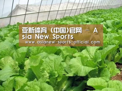 种植基地一