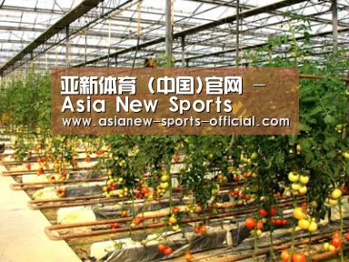 种植基地二