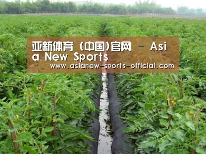 种植基地三