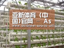 环境展示六